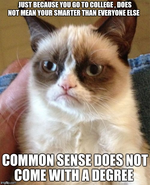Grumpy Cat Meme | JUST BECAUSE YOU GO TO COLLEGE , DOES NOT MEAN YOUR SMARTER THAN EVERYONE ELSE; COMMON SENSE DOES NOT COME WITH A DEGREE | image tagged in memes,grumpy cat | made w/ Imgflip meme maker