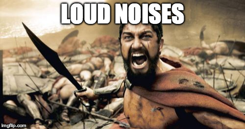 Sparta Leonidas | LOUD NOISES | image tagged in memes,sparta leonidas | made w/ Imgflip meme maker