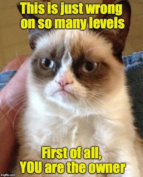 Grumpy Cat Meme | This is just wrong on so many levels First of all, YOU are the owner | image tagged in memes,grumpy cat | made w/ Imgflip meme maker