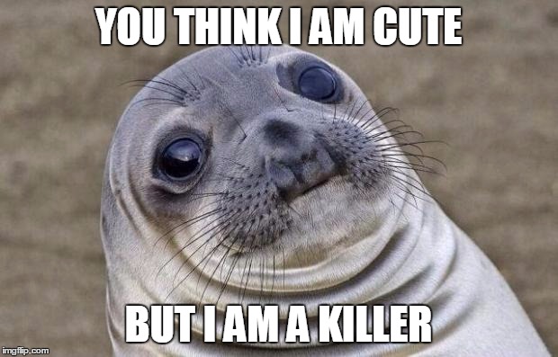 Awkward Moment Sealion | YOU THINK I AM CUTE; BUT I AM A KILLER | image tagged in memes,awkward moment sealion | made w/ Imgflip meme maker