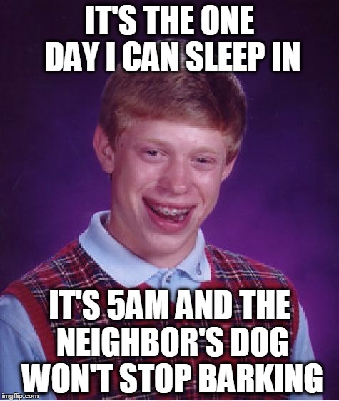 why why WHY | IT'S THE ONE DAY I CAN SLEEP IN; IT'S 5AM AND THE NEIGHBOR'S DOG WON'T STOP BARKING | image tagged in memes,bad luck brian,dogs,barking,sleep,why | made w/ Imgflip meme maker
