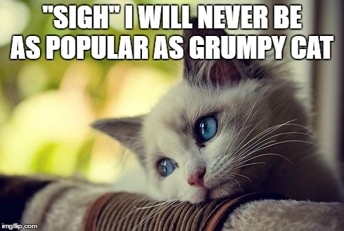 First World Problems Cat Meme | "SIGH" I WILL NEVER BE AS POPULAR AS GRUMPY CAT | image tagged in memes,first world problems cat | made w/ Imgflip meme maker