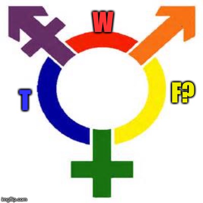 did i miss something? | W; T; F? | image tagged in memes | made w/ Imgflip meme maker