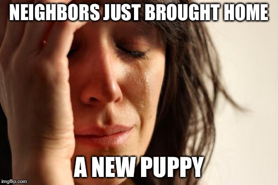 First World Problems Meme | NEIGHBORS JUST BROUGHT HOME A NEW PUPPY | image tagged in memes,first world problems | made w/ Imgflip meme maker
