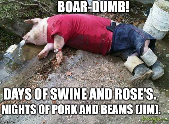 DrunkPig | BOAR-DUMB! DAYS OF SWINE AND ROSE'S. NIGHTS OF PORK AND BEAMS (JIM). | image tagged in drunkpig | made w/ Imgflip meme maker
