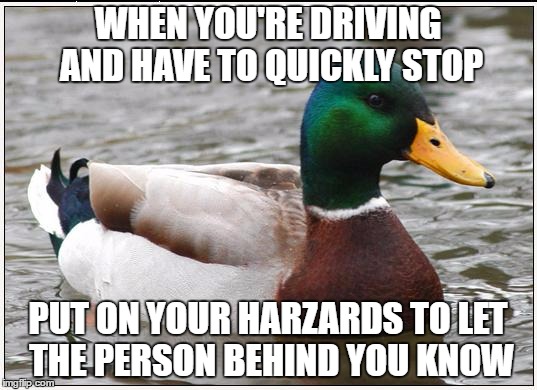 Actual Advice Mallard Meme | WHEN YOU'RE DRIVING AND HAVE TO QUICKLY STOP; PUT ON YOUR HARZARDS TO LET THE PERSON BEHIND YOU KNOW | image tagged in memes,actual advice mallard | made w/ Imgflip meme maker