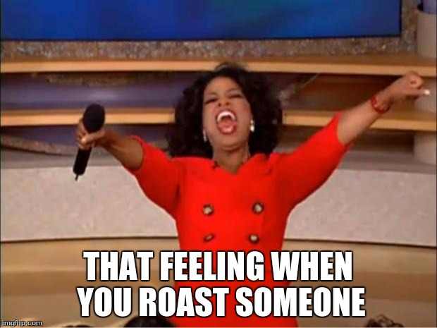 Oprah You Get A Meme | THAT FEELING WHEN YOU ROAST SOMEONE | image tagged in memes,oprah you get a | made w/ Imgflip meme maker
