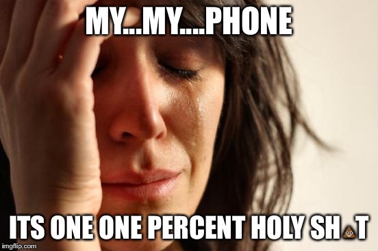 First World Problems | MY...MY....PHONE; ITS ONE ONE PERCENT HOLY SH💩T | image tagged in memes,first world problems | made w/ Imgflip meme maker