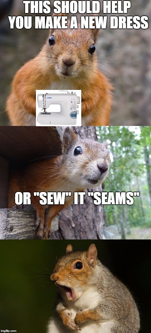 bap pun squirrel  | THIS SHOULD HELP YOU MAKE A NEW DRESS; OR "SEW" IT "SEAMS" | image tagged in bad pun squirrel | made w/ Imgflip meme maker