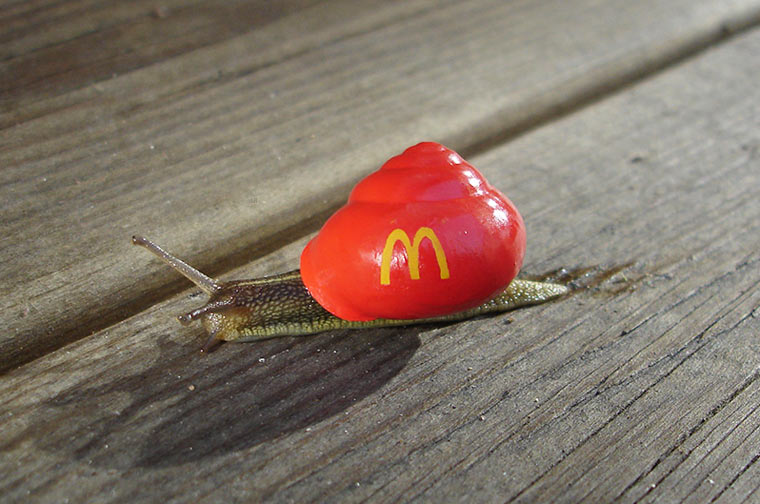 High Quality snail mcdonalds Blank Meme Template