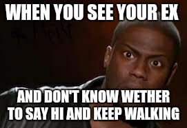 Kevin Hart Meme | WHEN YOU SEE YOUR EX; AND DON'T KNOW WETHER TO SAY HI AND KEEP WALKING | image tagged in memes,kevin hart the hell | made w/ Imgflip meme maker
