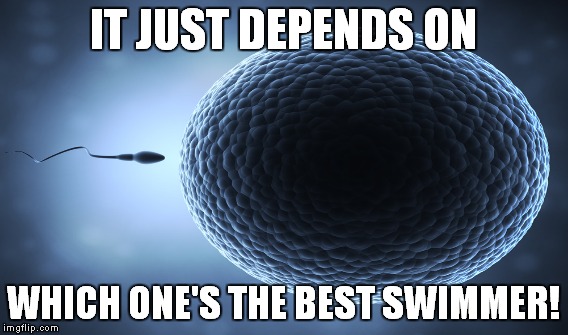 IT JUST DEPENDS ON WHICH ONE'S THE BEST SWIMMER! | made w/ Imgflip meme maker