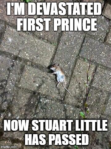 Stuart | I'M DEVASTATED
 FIRST PRINCE; NOW STUART LITTLE HAS PASSED | image tagged in stuart | made w/ Imgflip meme maker
