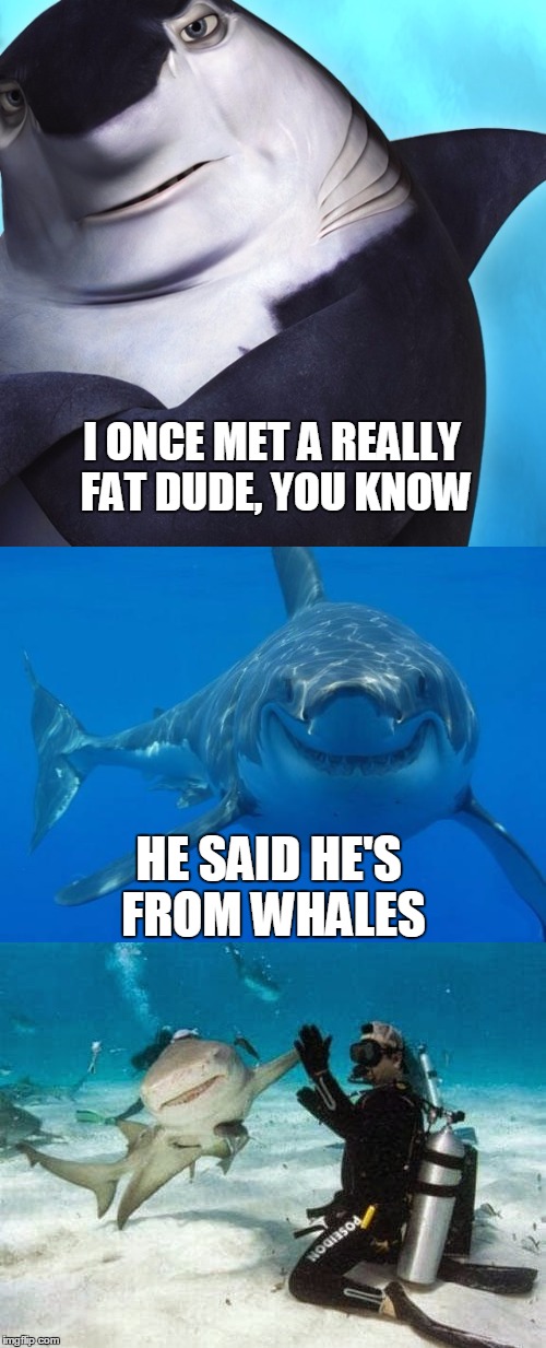 Bad Pun Shark | I ONCE MET A REALLY FAT DUDE, YOU KNOW; HE SAID HE'S FROM WHALES | image tagged in shark,memes,bad pun,high five | made w/ Imgflip meme maker