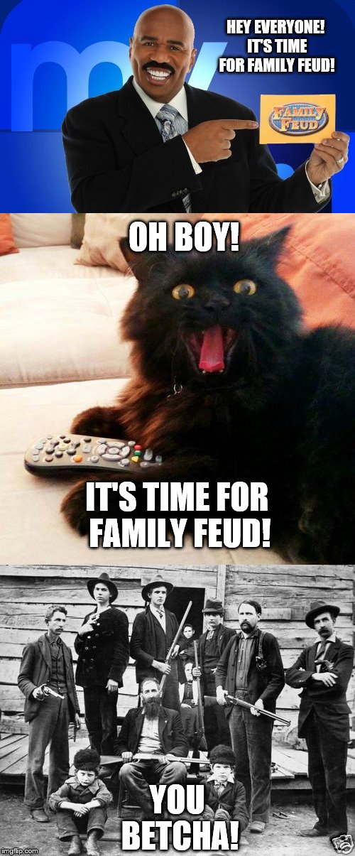 OH BOY! CAT: Hey, time for Family Feud |  HEY EVERYONE! IT'S TIME FOR FAMILY FEUD! OH BOY! IT'S TIME FOR FAMILY FEUD! YOU BETCHA! | image tagged in memes,oh boy cat,steve harvey,family feud,conflict,funny | made w/ Imgflip meme maker