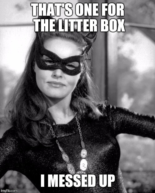 THAT'S ONE FOR THE LITTER BOX I MESSED UP | made w/ Imgflip meme maker