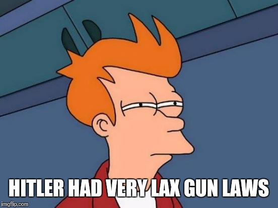 Futurama Fry Meme | HITLER HAD VERY LAX GUN LAWS | image tagged in memes,futurama fry | made w/ Imgflip meme maker