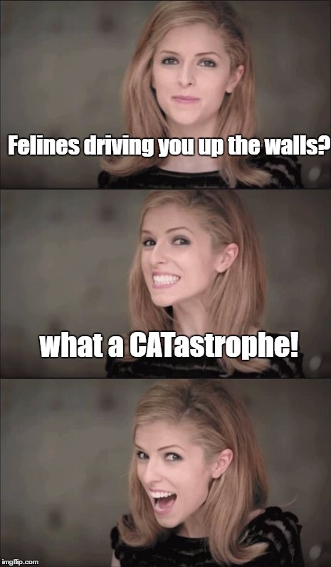 Bad Pun Anna Kendrick Meme | Felines driving you up the walls? what a CATastrophe! | image tagged in memes,bad pun anna kendrick | made w/ Imgflip meme maker