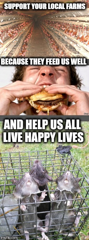 Free yourself from factory farming. | SUPPORT YOUR LOCAL FARMS; BECAUSE THEY FEED US WELL; AND HELP US ALL LIVE HAPPY LIVES | image tagged in farm,food,fast food,eating healthy,healthy,rats | made w/ Imgflip meme maker