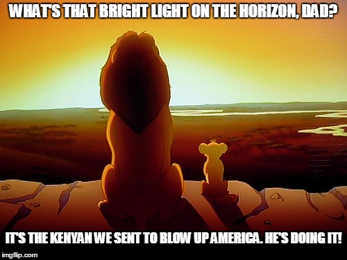 Lion King Meme | WHAT'S THAT BRIGHT LIGHT ON THE HORIZON, DAD? IT'S THE KENYAN WE SENT TO BLOW UP AMERICA. HE'S DOING IT! | image tagged in memes,lion king | made w/ Imgflip meme maker