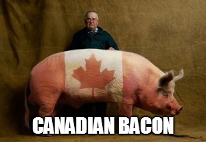 CANADIAN BACON | made w/ Imgflip meme maker