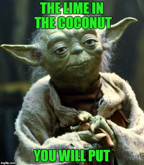 Star Wars Yoda Meme | THE LIME IN THE COCONUT YOU WILL PUT | image tagged in memes,star wars yoda | made w/ Imgflip meme maker