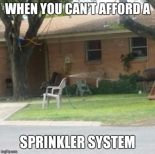 WHEN YOU CAN'T AFFORD A; SPRINKLER SYSTEM | image tagged in funny,why cant i,broke | made w/ Imgflip meme maker