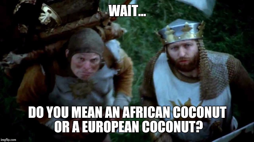 WAIT... DO YOU MEAN AN AFRICAN COCONUT OR A EUROPEAN COCONUT? | made w/ Imgflip meme maker