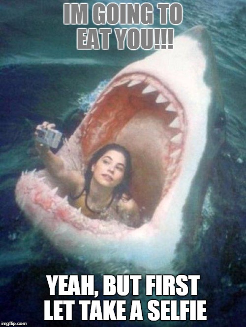 Shark | IM GOING TO EAT YOU!!! YEAH, BUT FIRST LET TAKE A SELFIE | image tagged in shark,memes,selfie,song lyrics | made w/ Imgflip meme maker