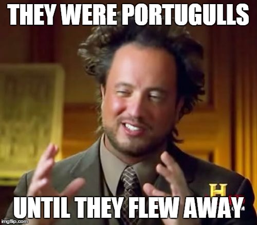 Ancient Aliens Meme | THEY WERE PORTUGULLS UNTIL THEY FLEW AWAY | image tagged in memes,ancient aliens | made w/ Imgflip meme maker