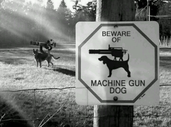 High Quality Machine Gun Dog Blank Meme Template