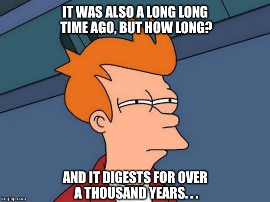 Futurama Fry Meme | IT WAS ALSO A LONG LONG TIME AGO, BUT HOW LONG? AND IT DIGESTS FOR OVER A THOUSAND YEARS. . . | image tagged in memes,futurama fry | made w/ Imgflip meme maker