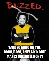 TAKE YO MOJO ON THE GOGO, BOZO, ONLY A KINGBEE MAKES QUEENBEE HONEY | made w/ Imgflip meme maker