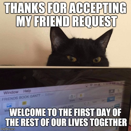 stalkercat | THANKS FOR ACCEPTING MY FRIEND REQUEST; WELCOME TO THE FIRST DAY OF THE REST OF OUR LIVES TOGETHER | image tagged in stalkercat | made w/ Imgflip meme maker
