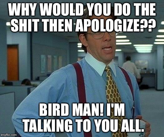 That Would Be Great Meme | WHY WOULD YOU DO THE SHIT THEN APOLOGIZE?? BIRD MAN! I'M TALKING TO YOU ALL. | image tagged in memes,that would be great | made w/ Imgflip meme maker