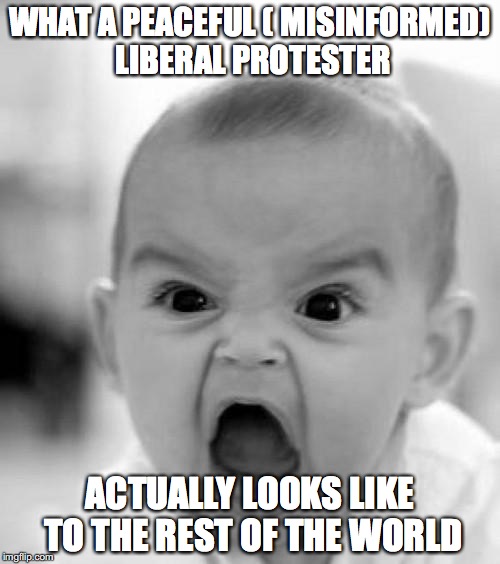 mad baby | WHAT A PEACEFUL ( MISINFORMED) LIBERAL PROTESTER; ACTUALLY LOOKS LIKE TO THE REST OF THE WORLD | image tagged in mad baby | made w/ Imgflip meme maker