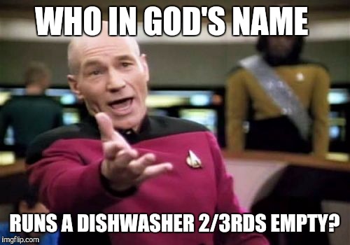 Picard Wtf | WHO IN GOD'S NAME; RUNS A DISHWASHER 2/3RDS EMPTY? | image tagged in memes,picard wtf | made w/ Imgflip meme maker