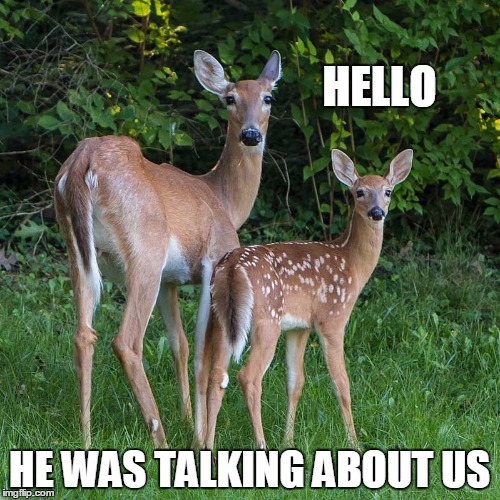 HELLO HE WAS TALKING ABOUT US | made w/ Imgflip meme maker