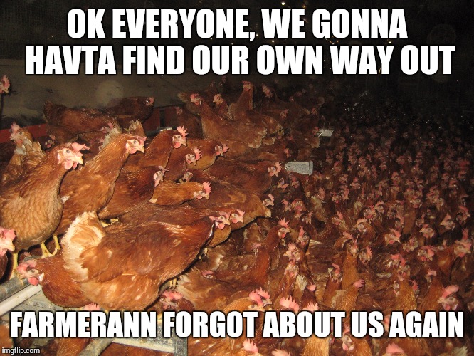 OK EVERYONE, WE GONNA HAVTA FIND OUR OWN WAY OUT FARMERANN FORGOT ABOUT US AGAIN | made w/ Imgflip meme maker