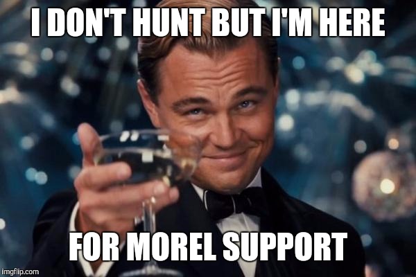 Leonardo Dicaprio Cheers Meme | I DON'T HUNT BUT I'M HERE FOR MOREL SUPPORT | image tagged in memes,leonardo dicaprio cheers | made w/ Imgflip meme maker