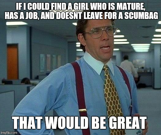 That Would Be Great Meme | IF I COULD FIND A GIRL WHO IS MATURE, HAS A JOB, AND DOESNT LEAVE FOR A SCUMBAG; THAT WOULD BE GREAT | image tagged in memes,that would be great | made w/ Imgflip meme maker
