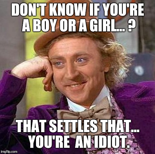 Creepy Condescending Wonka Meme | DON'T KNOW IF YOU'RE A BOY OR A GIRL... ? THAT SETTLES THAT... YOU'RE  AN IDIOT. | image tagged in memes,creepy condescending wonka | made w/ Imgflip meme maker