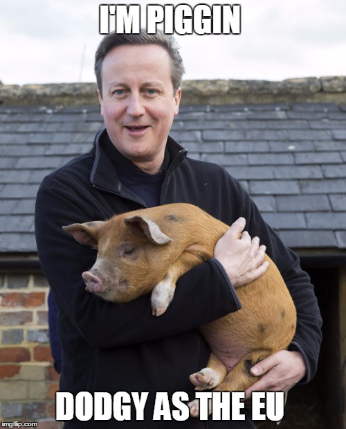 David Cameron | I'M PIGGIN; DODGY AS THE EU | image tagged in david cameron | made w/ Imgflip meme maker