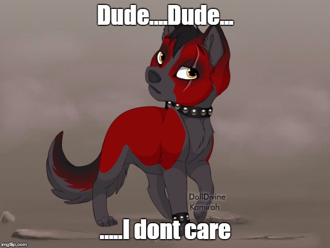 Dude....Dude... .....I dont care | image tagged in the demon dog | made w/ Imgflip meme maker