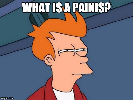 Futurama Fry Meme | WHAT IS A PAINIS? | image tagged in memes,futurama fry | made w/ Imgflip meme maker