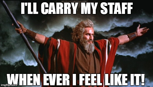 I'LL CARRY MY STAFF WHEN EVER I FEEL LIKE IT! | made w/ Imgflip meme maker