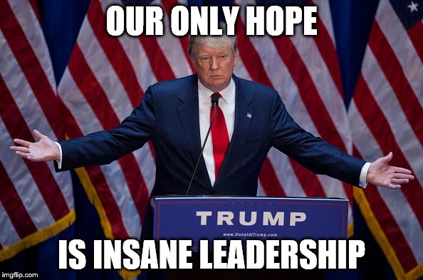 Donald Trump | OUR ONLY HOPE; IS INSANE LEADERSHIP | image tagged in donald trump | made w/ Imgflip meme maker