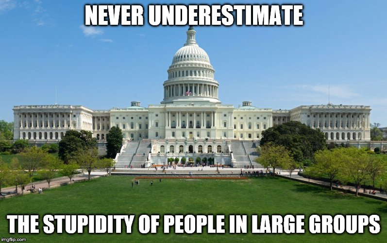 capitol hill | NEVER UNDERESTIMATE; THE STUPIDITY OF PEOPLE IN LARGE GROUPS | image tagged in capitol hill | made w/ Imgflip meme maker