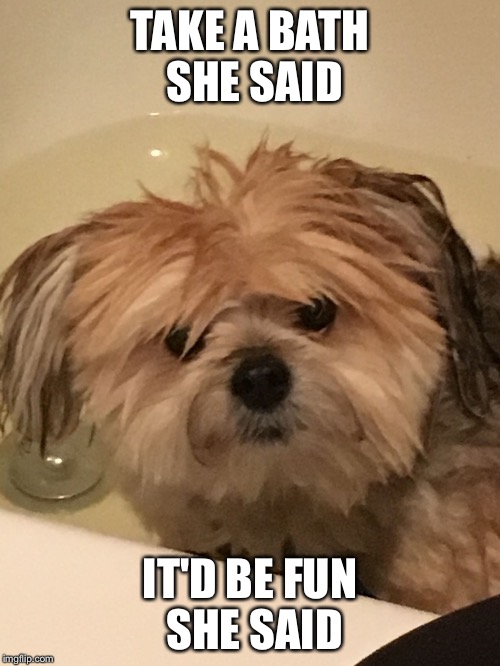 TAKE A BATH SHE SAID; IT'D BE FUN SHE SAID | image tagged in doggydog | made w/ Imgflip meme maker