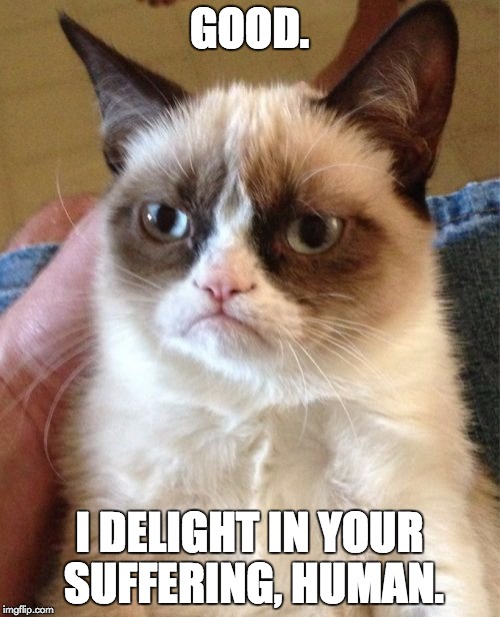 Grumpy Cat Meme | GOOD. I DELIGHT IN YOUR SUFFERING, HUMAN. | image tagged in memes,grumpy cat | made w/ Imgflip meme maker